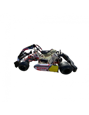 Chasis Tecno S30 Rotax DD2