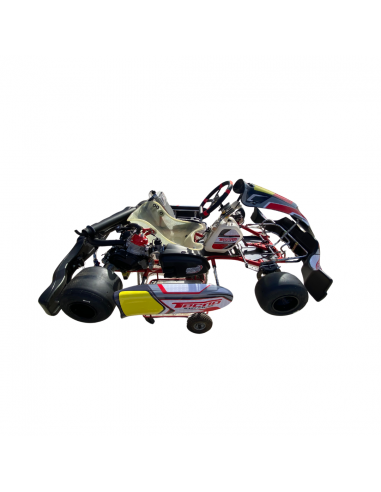 Chasis Tecno S30 Rotax DD2
