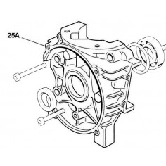 Cárter Iame Leopard Nº25A
