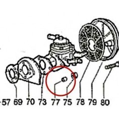 Casquillo Nylon Carburador W80 Nº77