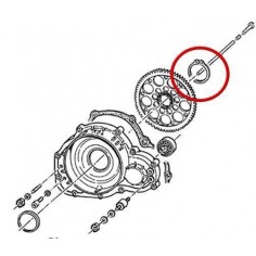 Seeger Campana Embrague TM 2