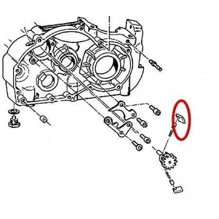 Trinquete Superior Cambio TM