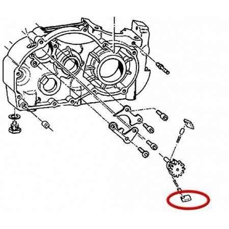 Trinquete Inferior Cambio TM