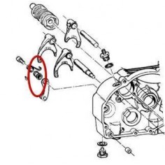 Casquillo Muelle Selector TM 2