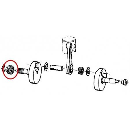 Piñón Eje Primario 19z TM