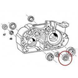 Cojinete 6202 C4 TM