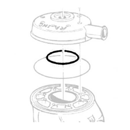 Tórica Culata Pequeña TM