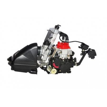 Motor Rotax Mini Max Evo