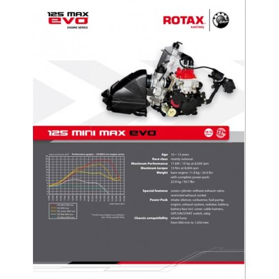 Evo max 4t. Rotax 125 Max EVO. Картинг Ротакс 125. Rotax Max 125 карта омологации. Rotax Max EVO TTX.