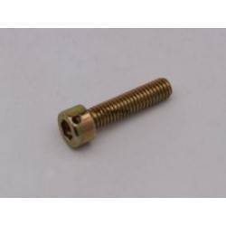 Tornillo Allen M6x25 Precinto Rotax Nº26