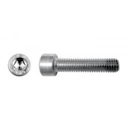 tornillo allen para kart M6 Largo 10 mm