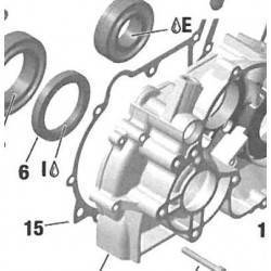 Junta Cárter Rotax DD2 Nº15