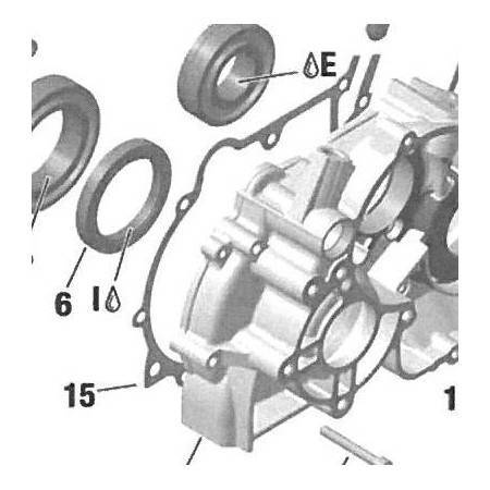 Junta Cárter Rotax DD2 Nº15