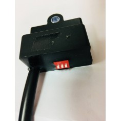 Limitador Revoluciones 4 Tiempos 2