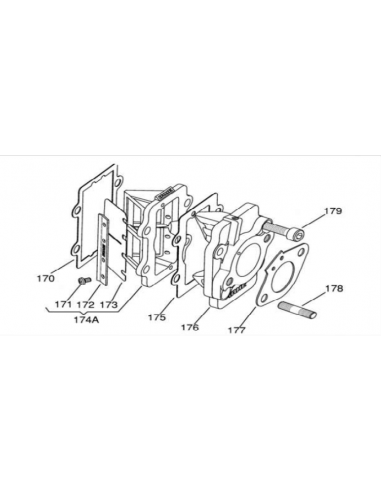 Láminas Carbono X30/TOP 0,24/0,25 Nº173