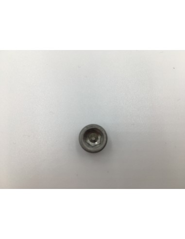 Tapón Sonda Culata Rotax Nº13