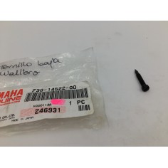Tornillo Baja Walbro Yamaha 2