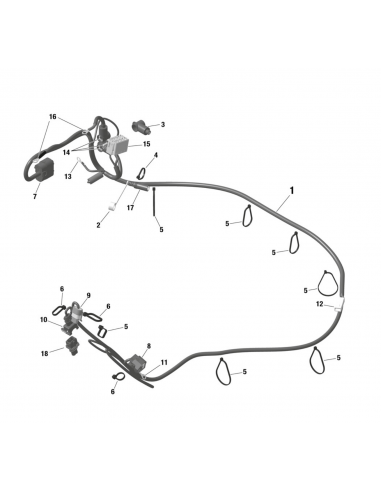 Cableado Rotax Evo 2020