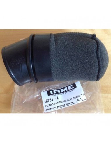 Filtro Aire Iame Water Swift