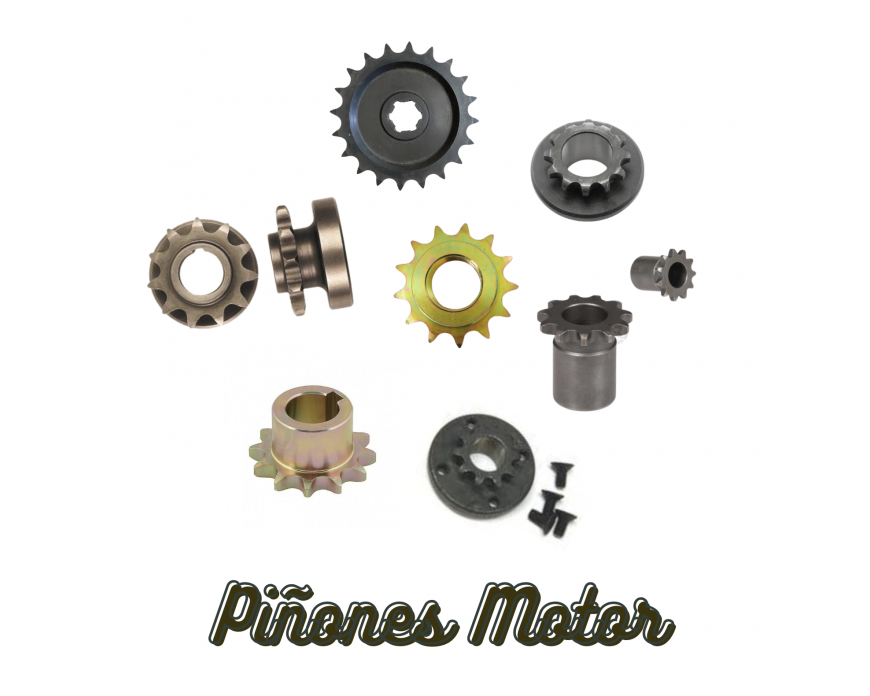 Piñones motor